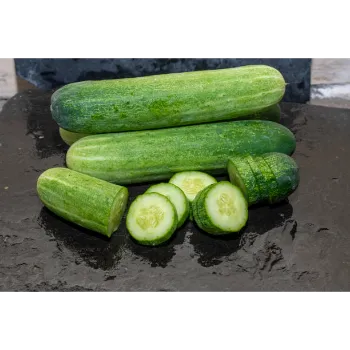 Cucumber  (21)-6740506-94133.webp